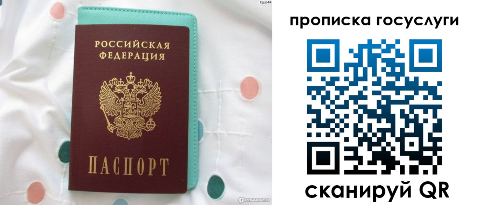 прописка поиск в Курчалом